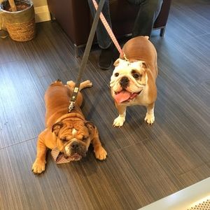 Meet your Posher, Melissa